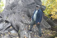 Olympic Peninsula Forest Tour thumbnail 2