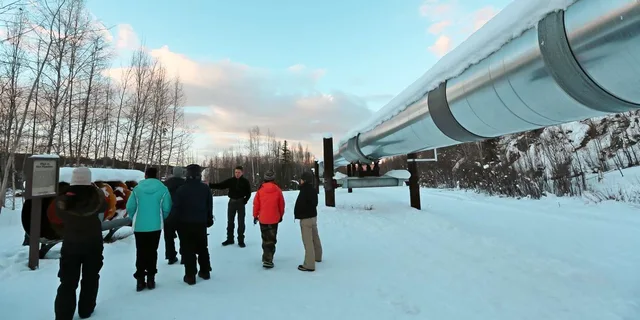 Fairbanks Arctic Circle Northern Lights Tour - Image 3