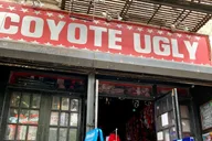 New York City East Village TV and Movie Sites Walking Tour 2 hr thumbnail 2
