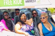 Miami Beach Golf Cart Tour thumbnail 6