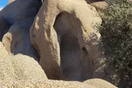 Los Angeles Joshua Tree National Park Private Tour thumbnail 4