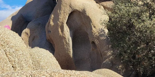 Los Angeles Joshua Tree National Park Private Tour - Image 4