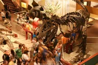 Washington DC Smithsonian Museums Private Tour thumbnail 4