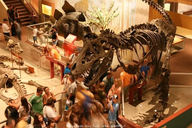 Washington DC Smithsonian Museums Private Tour - Image 4