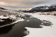 Yellowstone Winter Wildlife Watching Tour thumbnail 6
