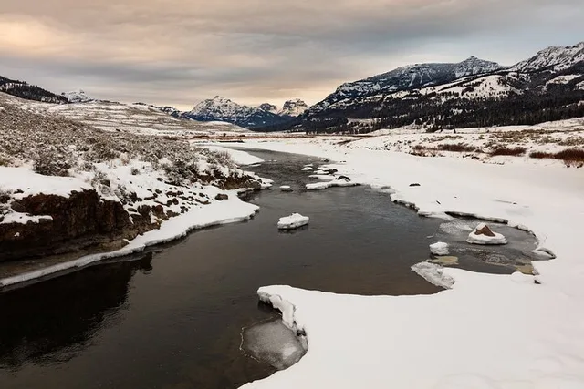 Yellowstone Winter Wildlife Watching Tour - Image 6