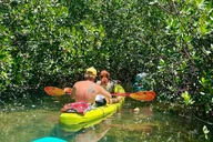 Key West Kayak Eco Tour thumbnail 4
