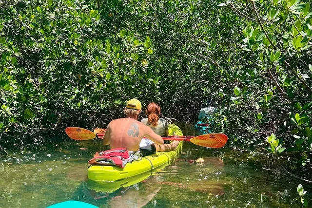 Key West Kayak Eco Tour - Image 4