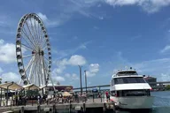 Miami Train Adventure from Orlando thumbnail 6