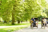 New York Central Park Pedicab Tour of Film Spots and Celebrity Homes thumbnail 6