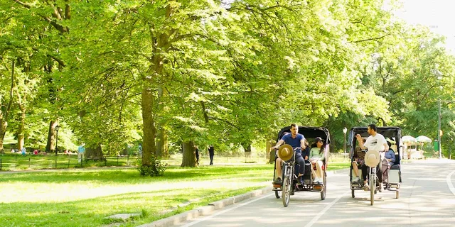 New York Central Park Pedicab Tour of Film Spots and Celebrity Homes - Image 6