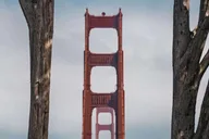 San Francisco Photography Tour with Private Photographer thumbnail 1