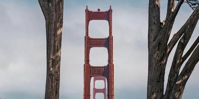 San Francisco Photography Tour with Private Photographer - Image 1