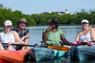 Sarasota Mangrove Tunnel Kayak Tour thumbnail 5