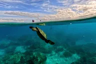 Maui Tandem Clear Kayak Rental 2 hr thumbnail 2