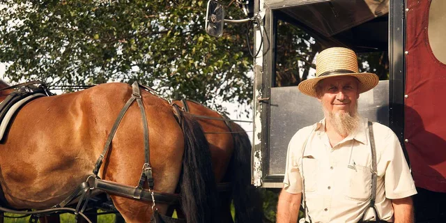 Philadelphia, Washington DC & Amish Country Tour from NYC - Image 4