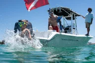 Destin Snorkeling and Dolphin Cruise thumbnail 4