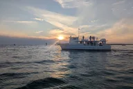 Destin Dolphin Watching Adventure thumbnail 3