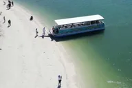 Clearwater Beach Dolphin and Island Sandbar Cruise thumbnail 5