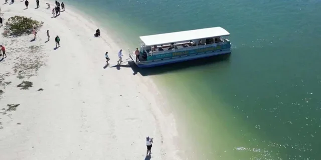 Clearwater Beach Dolphin and Island Sandbar Cruise - Image 5