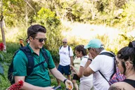 Maui Rainforest Waterfall Hiking Adventure thumbnail 4