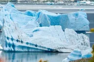 Seward Glaciers and Fjords Helicopter Tour with 2 Landings thumbnail 3