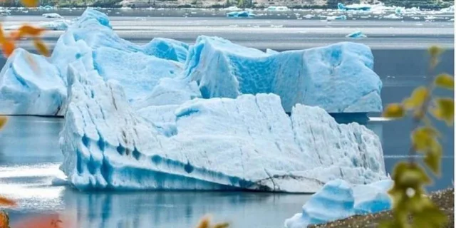 Seward Glaciers and Fjords Helicopter Tour with 2 Landings - Image 3