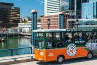 Boston Hop-on Hop-off Trolley Tour thumbnail 4