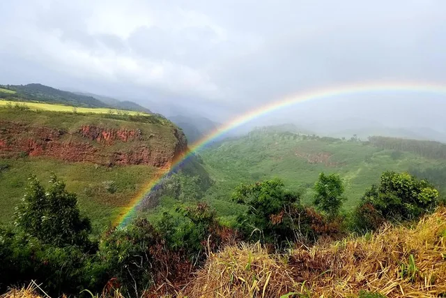 Kauai Waimea Canyon Private Tour - Image 4