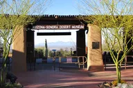Tucson Day Tour from Phoenix thumbnail 5