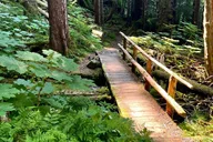 Sitka Guided Hike to Beaver Lake thumbnail 2
