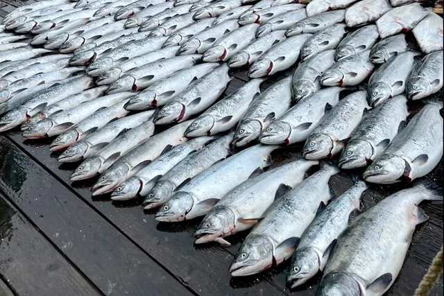 Ketchikan Salmon Fishing Trip 6 hr - Image 1