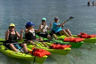 Crystal River Single Kayak Rental thumbnail 4