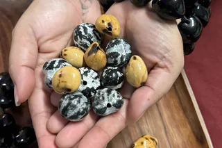 Maui Kukui Nut Bracelet Workshop