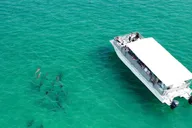 Panama City Beach Snorkeling and Dolphin Watching Tour thumbnail 3