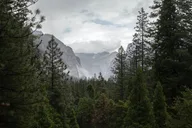 Sequoia Private Tour & Hike thumbnail 3