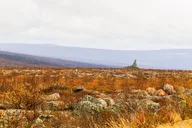 Fairbanks Arctic Circle Expedition thumbnail 2