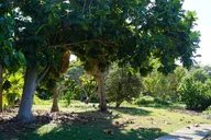 Maui Botanical Garden Experience thumbnail 5