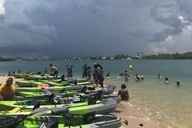 North Miami Beach Eco Kayak or Paddleboard Tour thumbnail 4