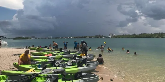 North Miami Beach Eco Kayak or Paddleboard Tour - Image 4