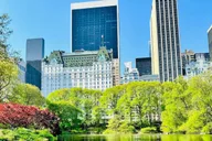 New York City Central Park Pedicab Tour thumbnail 4