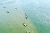 Virginia Beach Dolphin Kayak Tour thumbnail 2