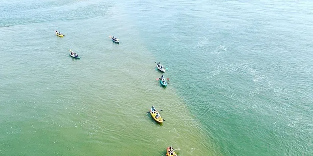 Virginia Beach Dolphin Kayak Tour - Image 2