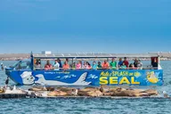 San Diego Seal Tour thumbnail 3