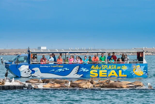 San Diego Seal Tour - Image 3