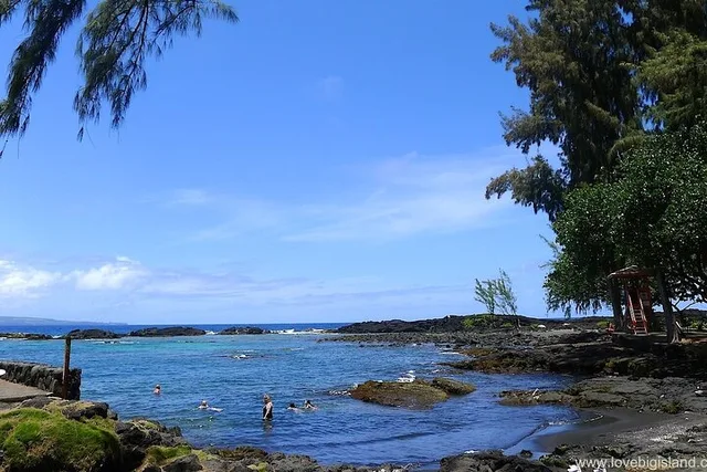 Hilo Private Shore Excursion and Waterfalls Tour - Image 3