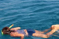 Hilo Snorkeling Tour with Nature Walk thumbnail 6