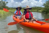 Saint Augustine Dolphin & Sea Turtle Kayak Tour 2 hr thumbnail 6