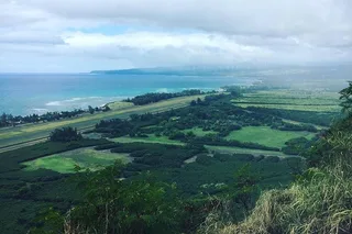 Oahu North Shore Hiking Tour
