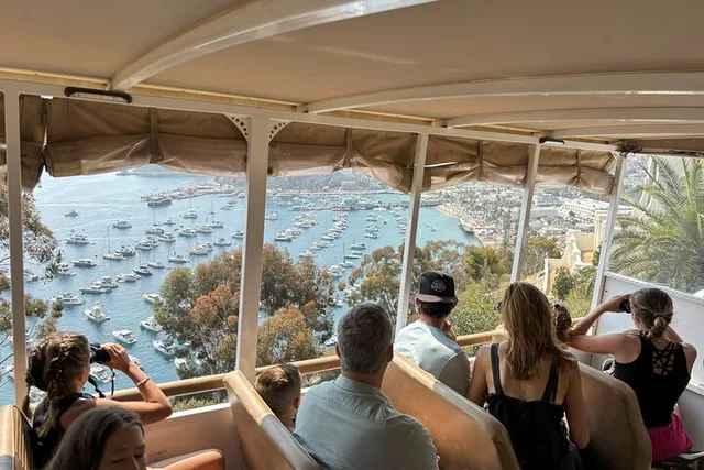 Avalon City and Scenic Mount Ada Tour - Image 1